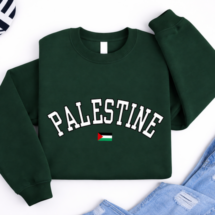 Palestine Sweater, Palestine Flag Printed Crewneck Sweatshirt, Support Palestine Freedom Gaza Protest Top, Palestinian Shirt, Comfy Jumper