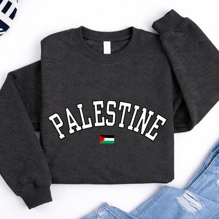 Palestine Sweater, Palestine Flag Printed Crewneck Sweatshirt, Support Palestine Freedom Gaza Protest Top, Palestinian Shirt, Comfy Jumper