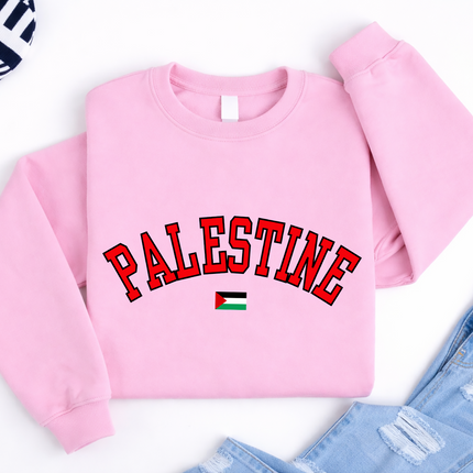 Palestine Sweater, Palestine Flag Printed Crewneck Sweatshirt, Support Palestine Freedom Gaza Protest Top, Palestinian Shirt, Comfy Jumper