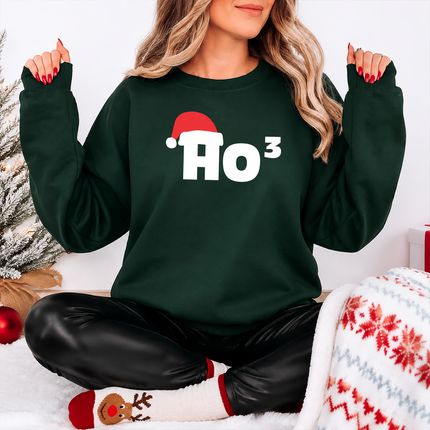 Christmas Santa Hat Printed Sweatshirt, Ho Ho Ho3 Crewneck Xmas Sweatshirt, Christmas Family Matching Jumper, Xmas Party Funny Ho3 Outfits
