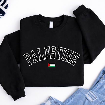 Palestine Sweater, Palestine Flag Printed Crewneck Sweatshirt, Support Palestine Freedom Gaza Protest Top, Palestinian Shirt, Comfy Jumper