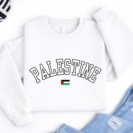 Palestine Sweater, Palestine Flag Printed Crewneck Sweatshirt, Support Palestine Freedom Gaza Protest Top, Palestinian Shirt, Comfy Jumper