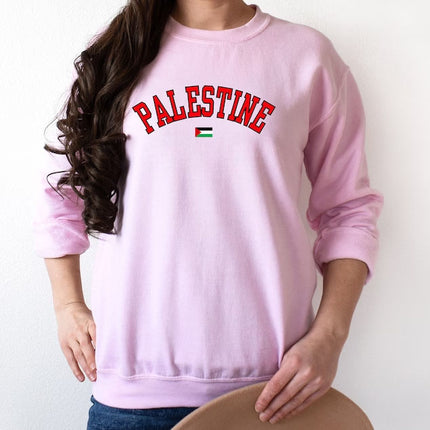 Palestine Crewneck Sweatshirt, Palestine Flag Printed Sweater, Support Palestine Freedom Gaza Protest Top, Palestinian Shirt, Comfy Jumper