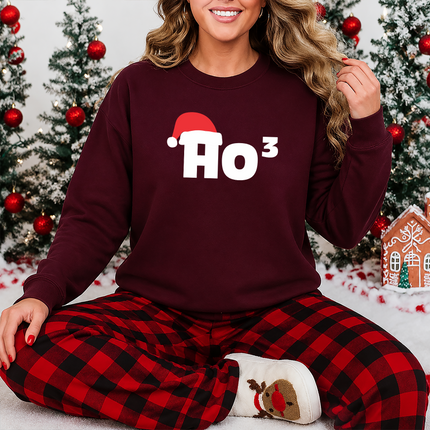 Christmas Santa Hat Printed Sweatshirt, Ho Ho Ho3 Crewneck Xmas Sweatshirt, Christmas Family Matching Jumper, Xmas Party Funny Ho3 Outfits