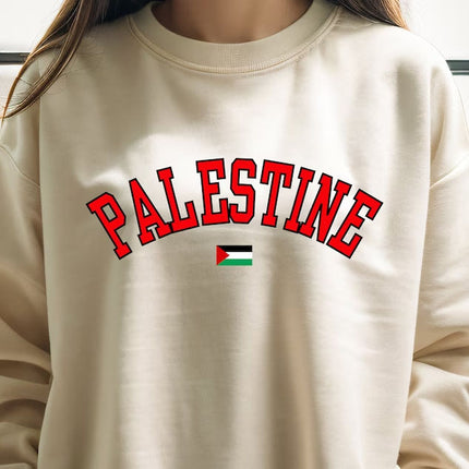 Palestine Crewneck Sweatshirt, Palestine Flag Printed Sweater, Support Palestine Freedom Gaza Protest Top, Palestinian Shirt, Comfy Jumper