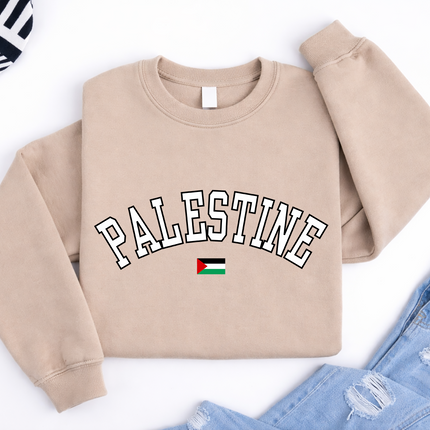 Palestine Sweater, Palestine Flag Printed Crewneck Sweatshirt, Support Palestine Freedom Gaza Protest Top, Palestinian Shirt, Comfy Jumper