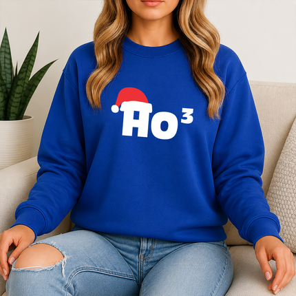 Christmas Santa Hat Printed Sweatshirt, Ho Ho Ho3 Crewneck Xmas Sweatshirt, Christmas Family Matching Jumper, Xmas Party Funny Ho3 Outfits