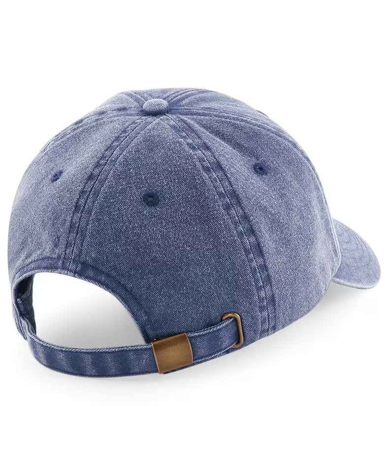 Pigeon Vintage Snapback Hat, Embroidery Bird Design Pigeon Baseball Cap, Comfort Colors Cotton Adult Unisex Wildlife Hat,