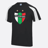 Palestine Logo Football Shirt, Palestine Flag Logo Sports Printed T Shirt, Palestine Football Lover Tees, 100 Polyester Shirts, Muslims Gift