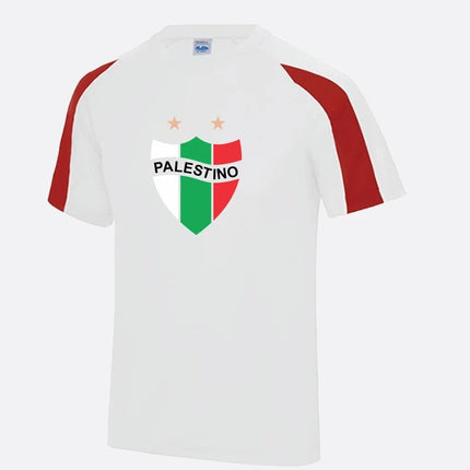 Palestine Logo Football Shirt, Palestine Flag Logo Sports Printed T Shirt, Palestine Football Lover Tees, 100 Polyester Shirts, Muslims Gift