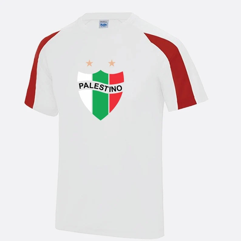 Palestine Logo Football Shirt, Palestine Flag Logo Sports Printed T Shirt, Palestine Football Lover Tees, 100 Polyester Shirts, Muslims Gift