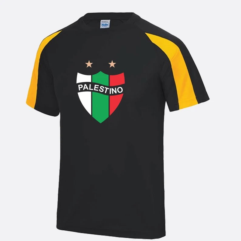 Palestine Logo Football Shirt, Palestine Flag Logo Sports Printed T Shirt, Palestine Football Lover Tees, 100 Polyester Shirts, Muslims Gift