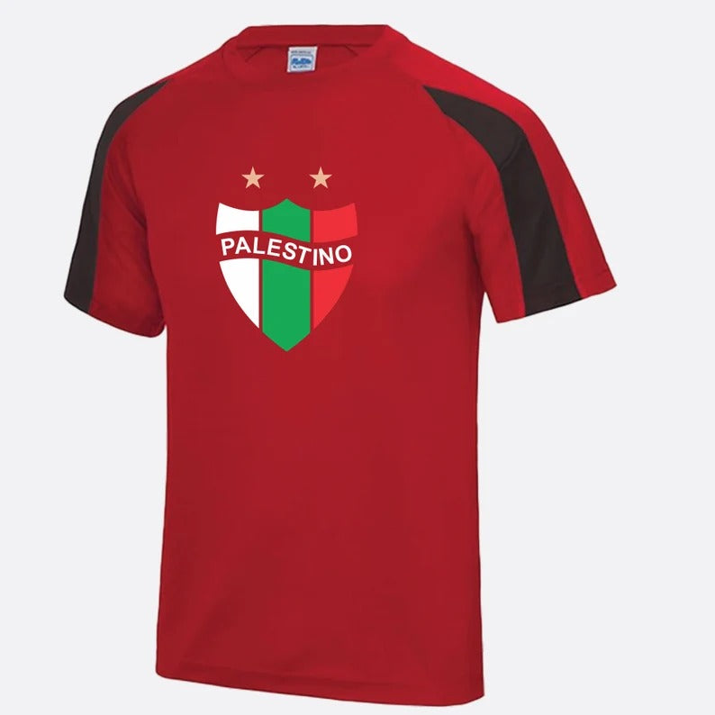 Palestine Logo Football Shirt, Palestine Flag Logo Sports Printed T Shirt, Palestine Football Lover Tees, 100 Polyester Shirts, Muslims Gift