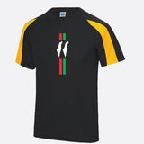 Palestine Maps Football Shirt, Palestine Flag Design Printed T Shirt, Palestine Football Lover Tees, 100 Polyester Shirt, Palestine FC Shirt