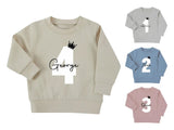 Personalised Baby Toddler Name Sweater, Custom Age Kids Jumper, Baby Shower & New Baby Gift, 1st Birthday Present, Custom Text Kids Clothing