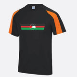 Palestine Flag Football T Shirt, Palestine Logo Chest Printed Shirt, Palestine Football Lover Tee Tops, 100 Polyester Shirt, Footballer Gift