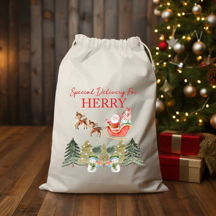 Christmas Toy Santa Sacks, Personalised Name Christmas Trees Printed Sacks, Baby's 1st Christmas Sack Bags, New Parents Christmas Gifts Bags