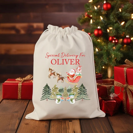Christmas Toy Santa Sacks, Personalised Name Christmas Trees Printed Sacks, Baby's 1st Christmas Sack Bags, New Parents Christmas Gifts Bags