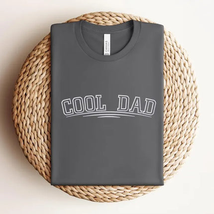 Embroidered Cool Dad Shirt, Fathers Day Gift T-Shirt, New Dad To Be Tee, Best Dad Shirt