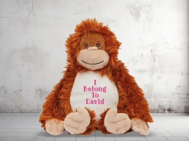 Personalised Orangutan Plush Toy – Custom I Belong to Printed Moneky Teddy for Kids