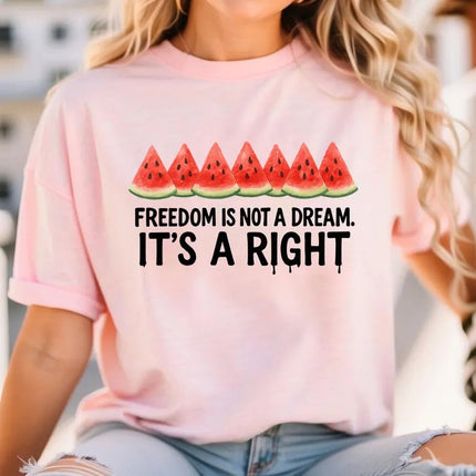 Palestine Shirts – Freedom Is Not a Dream It’s a Right Palestine Shirt, Human Rights Tops