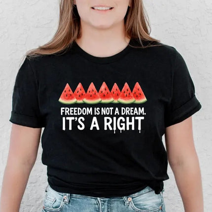 Palestine Shirts – Freedom Is Not a Dream It’s a Right Palestine Shirt, Human Rights Tops