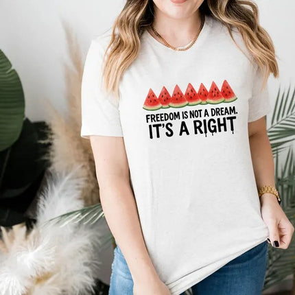 Palestine Shirts – Freedom Is Not a Dream It’s a Right Palestine Shirt, Human Rights Tops