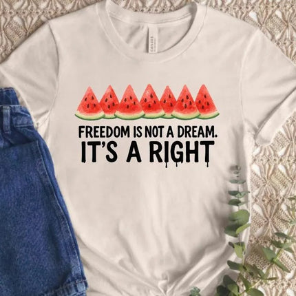 Palestine Shirts – Freedom Is Not a Dream It’s a Right Palestine Shirt, Human Rights Tops