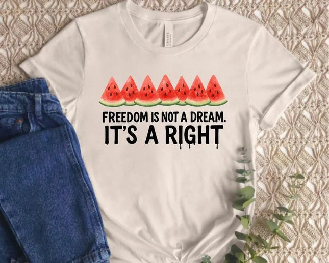 Palestine Shirts – Freedom Is Not a Dream It’s a Right Palestine Shirt, Human Rights Tops