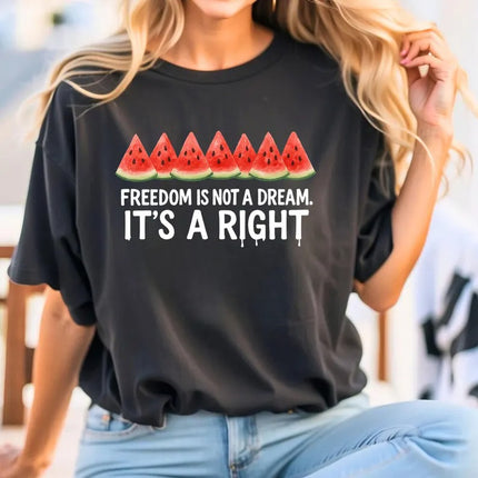 Palestine Shirts – Freedom Is Not a Dream It’s a Right Palestine Shirt, Human Rights Tops
