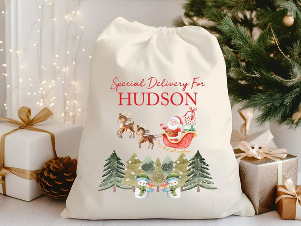 Christmas Toy Santa Sacks, Personalised Name Christmas Trees Printed Sacks, Baby's 1st Christmas Sack Bags, New Parents Christmas Gifts Bags