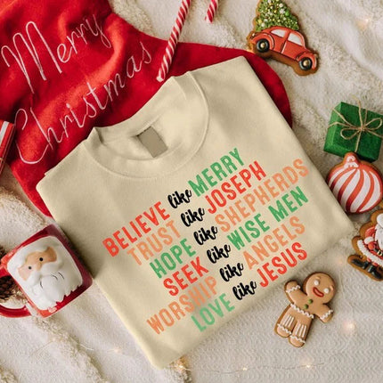 Christmas Faith Sweatshirt, Christian's Christmas Printed Sweater, Believe Like Mary Jumper, Christmas Matching Top, Religious Holiday Gifts