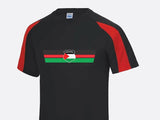 Palestine Flag Football T Shirt, Palestine Logo Chest Printed Shirt, Palestine Football Lover Tee Tops, 100 Polyester Shirt, Footballer Gift