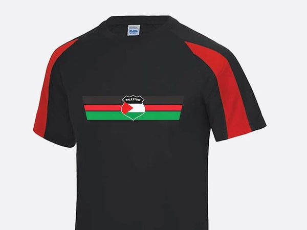 Palestine Flag Football T Shirt, Palestine Logo Chest Printed Shirt, Palestine Football Lover Tee Tops, 100 Polyester Shirt, Footballer Gift