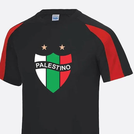 Palestine Logo Football Shirt, Palestine Flag Logo Sports Printed T Shirt, Palestine Football Lover Tees, 100 Polyester Shirts, Muslims Gift