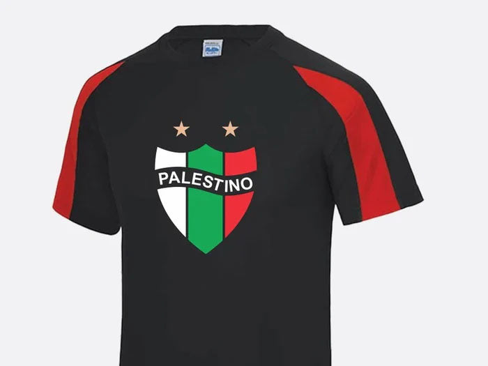 Palestine Logo Football Shirt, Palestine Flag Logo Sports Printed T Shirt, Palestine Football Lover Tees, 100 Polyester Shirts, Muslims Gift