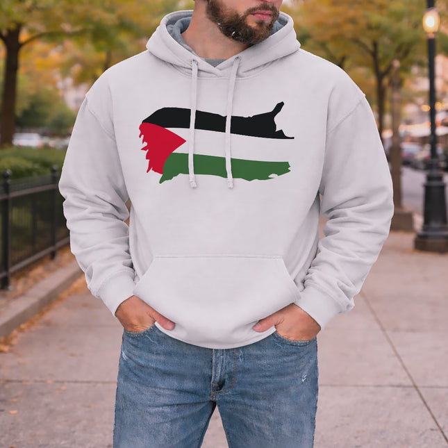 Palestine Flag Hoodie, Support Palestine Gaza Sweatshirt, Palestine Protest Clothing, Save Human Rights Palestinian Outfit